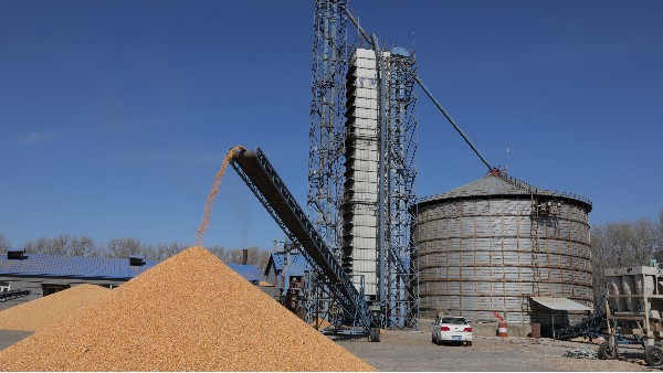 烘糧1萬(wàn)噸成本僅24萬(wàn)，秸稈打捆直燃熱風(fēng)爐為農(nóng)戶(hù)增收