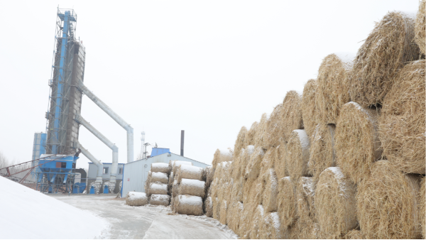 煤炭價格高，烘糧利潤低，吉林大安市500噸糧食烘干塔改用秸稈大包直燃鍋爐，每天省3萬